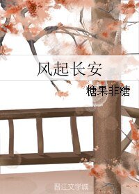 《风起长安》