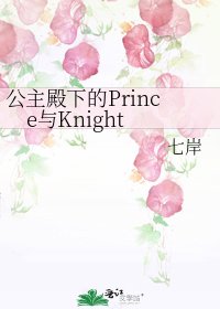 公主殿下的Prince与Knight