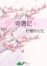 奇遇记