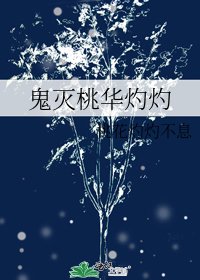 《鬼灭桃华灼灼》