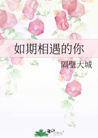 如期相遇的你