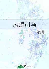 风追司马