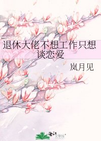 《退休大佬不想工作只想谈恋爱》