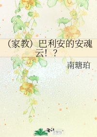 《(家教)巴利安的安魂云!?》